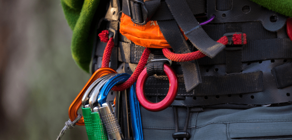 Do You Need Council Permission or a Tree Preservation Order (TPO) in Chester?