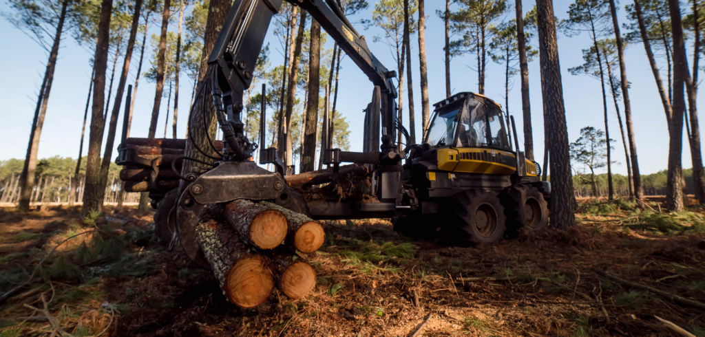 Land and Site Clearing in Chester: APractical Guide for Building andLandscaping Projects